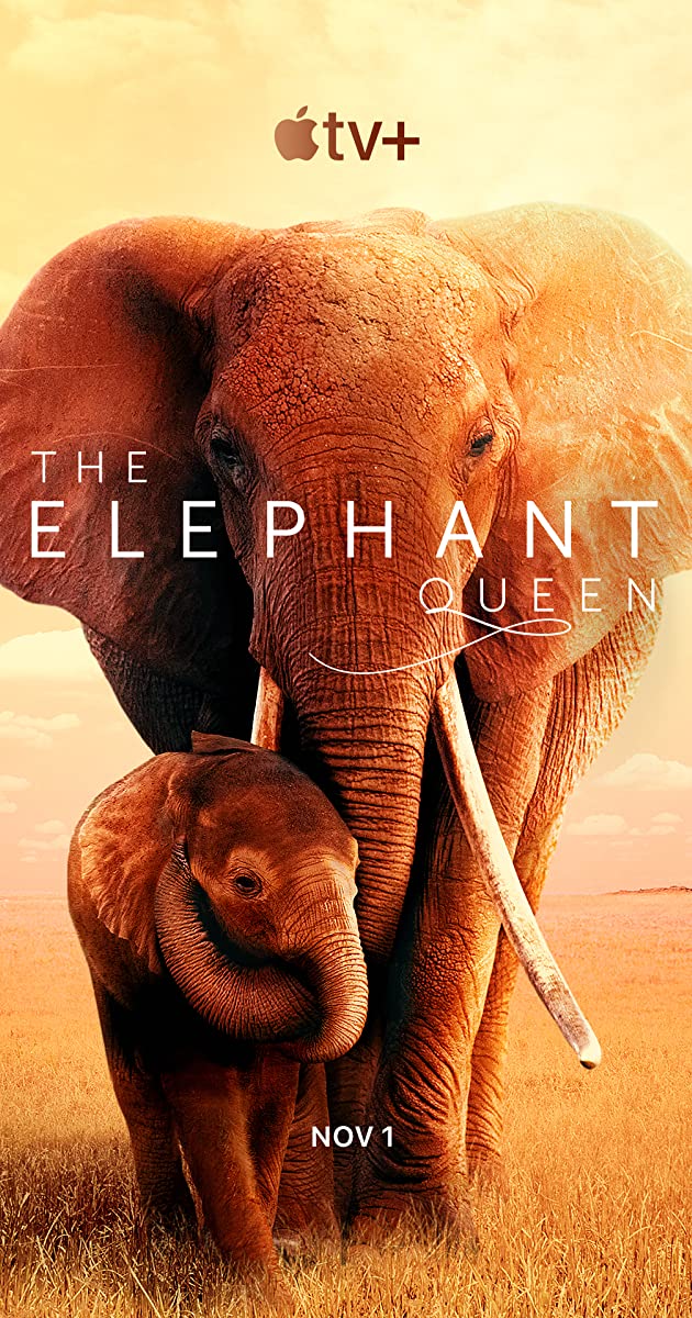 دانلود فیلم The Elephant Queen